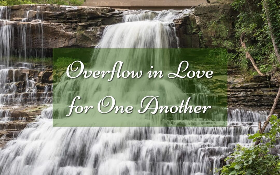 50+ Bible Study Resumes