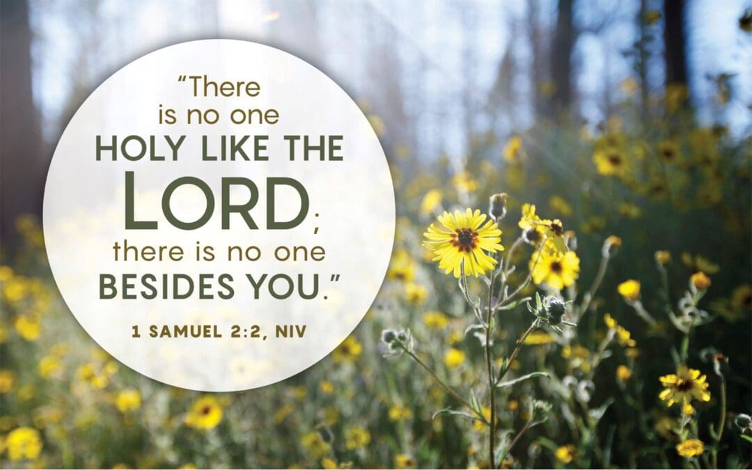 1 & 2 Samuel Bible Study