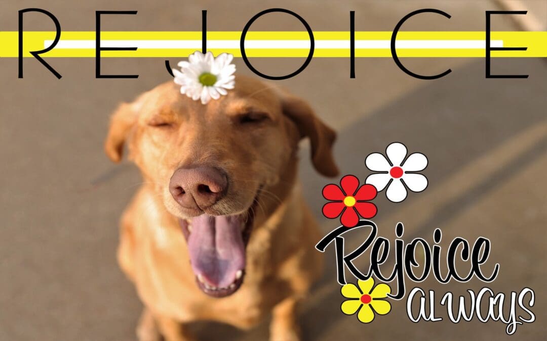 Philippians – the Book of Joy!