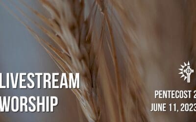 Sunday Worship – June 11