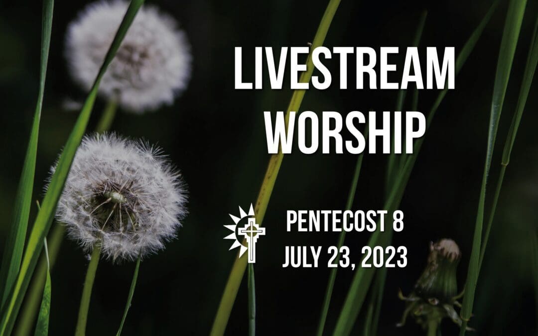 Sunday Worship – July 23