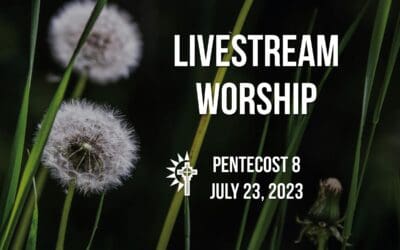 Sunday Worship – July 23