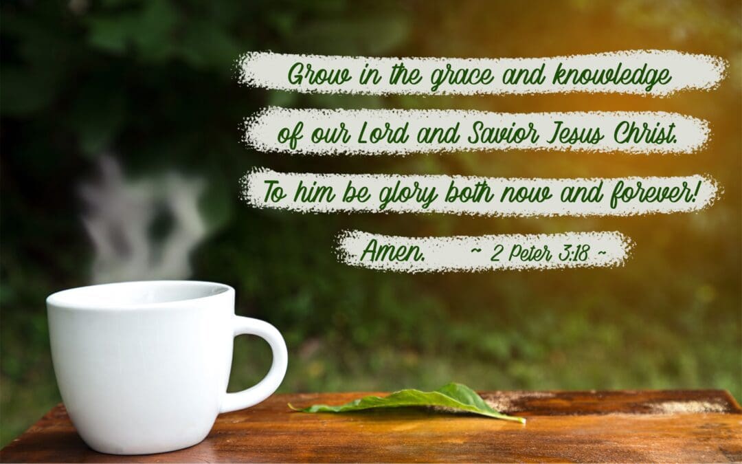 The Life and Writings of Peter Bible Study