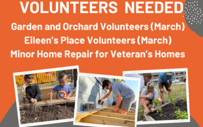 MLM Seeks Volunteers