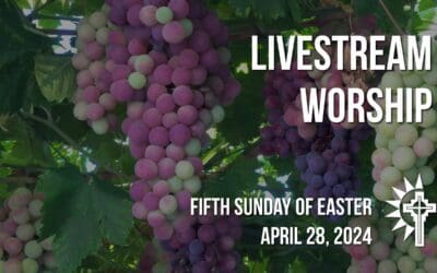 Sunday Worship – April 28