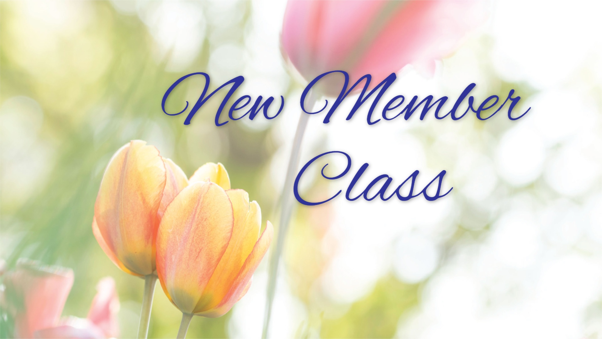 New Member Class