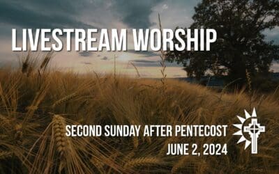 Sunday Worship – June 2