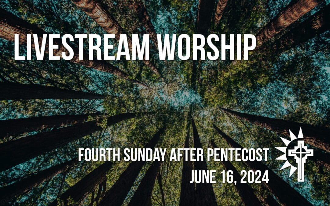 Sunday Worship – June 16