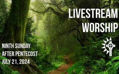 Sunday Worship – July 21