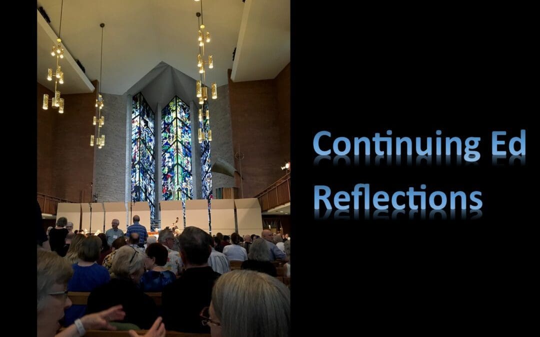 Continuing Ed Reflection by Lara West