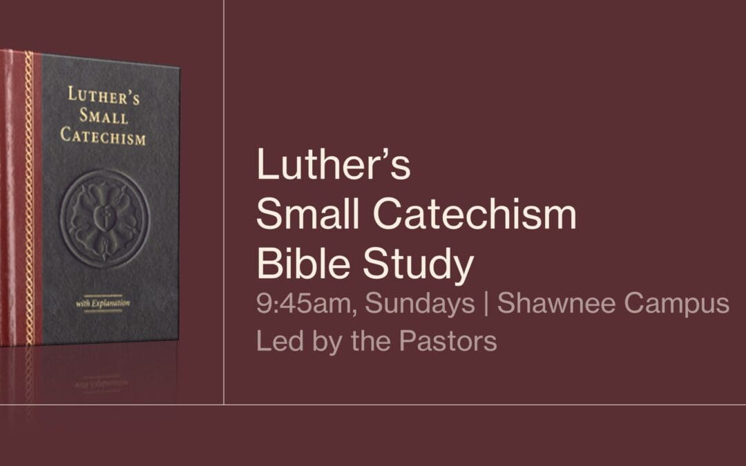 Pastor-Led Bible Study: Small Catechism
