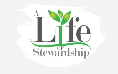 Trinity Lutheran Foundation Seeks Treasurer