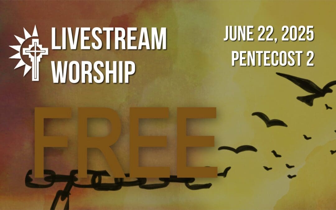 Sunday Worship – June 22