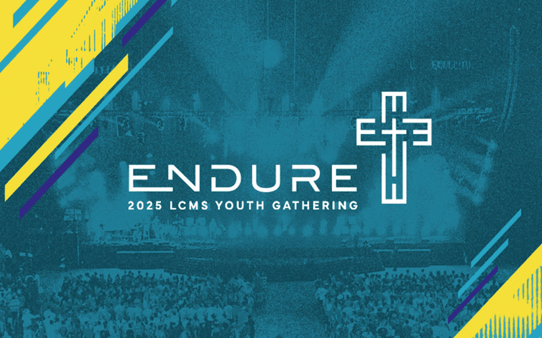 Shareholder Newsletter #2