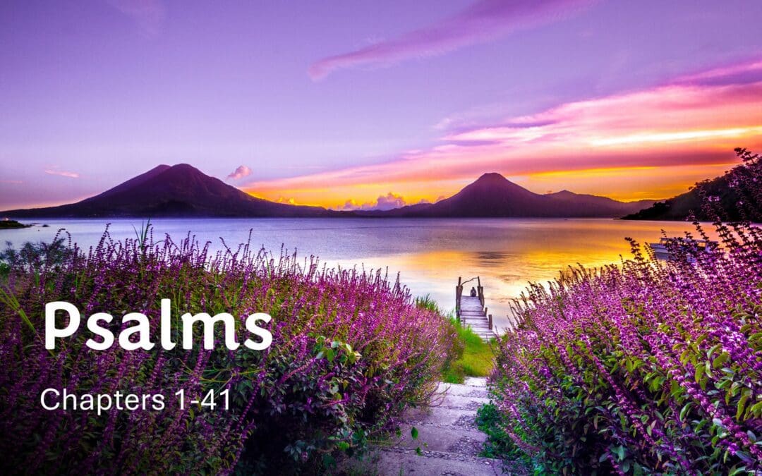 Bible Study Topic: Psalms 1-41