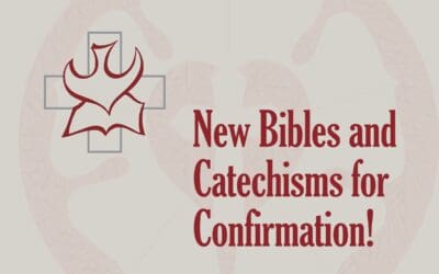 New Bibles and Adding the Catechism for Confirmation This Year!