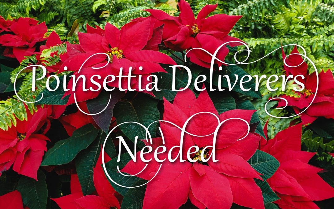 Share the Joy of Christmas – Become a Poinsettia Deliverer!