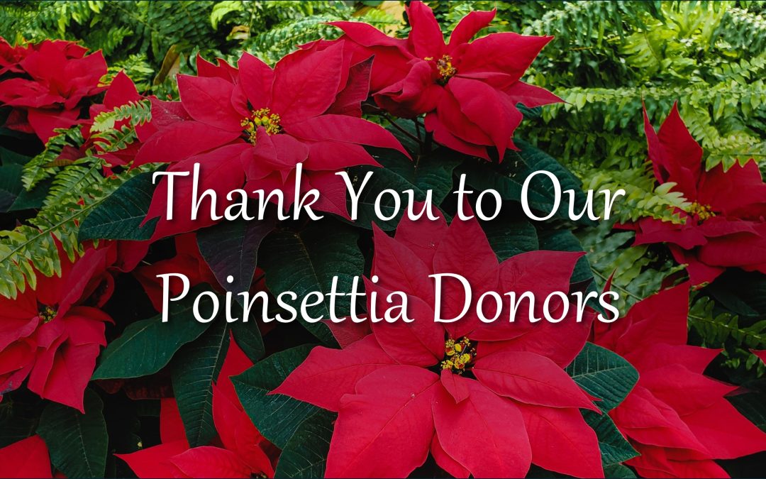 Thank you to Poinsettia Donors